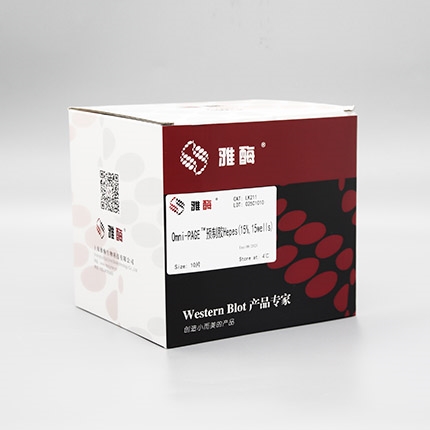 Omni-PAGE™ 预制胶 Hepes 15%,15 wells