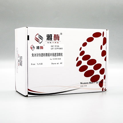 免冰浴快速转膜缓冲液速溶颗粒(湿转法)