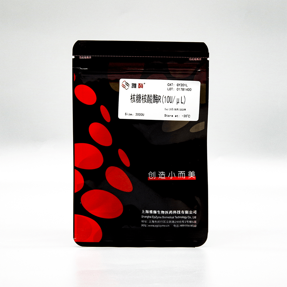 核糖核酸酶R(10U/μL)