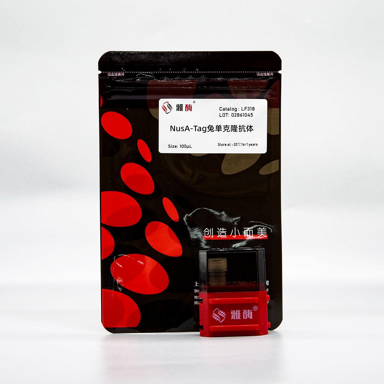 NusA-Tag兔单克隆抗体