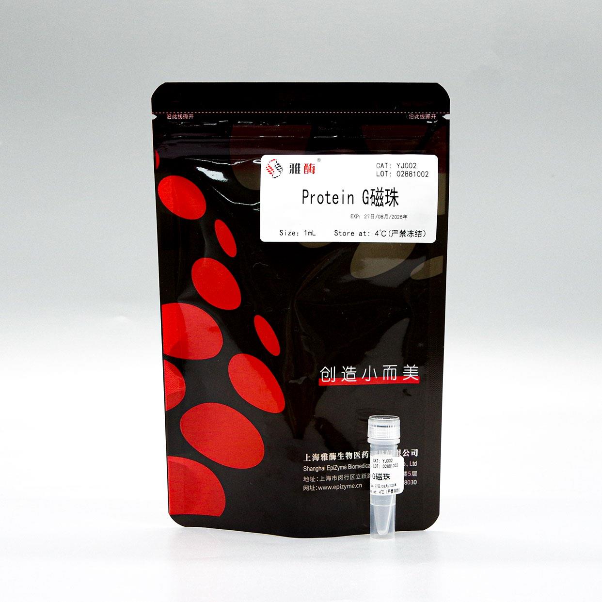 Protein G磁珠