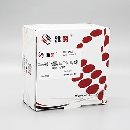 SuperPAGE™ 预制胶，Bis-Tris，8%，15孔(含MOPS电泳液)(即将下架)
