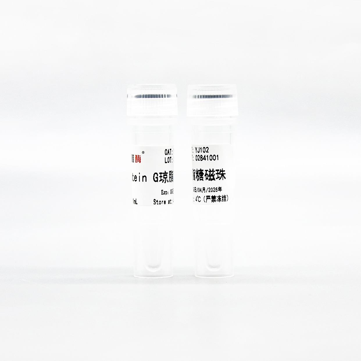Protein G琼脂糖磁珠