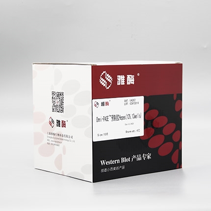 Omni-PAGE™ 预制胶 Hepes 10%,10 wells