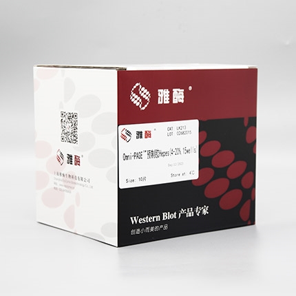 Omni-PAGE™ 预制胶 Hepes 4~20%,15 wells