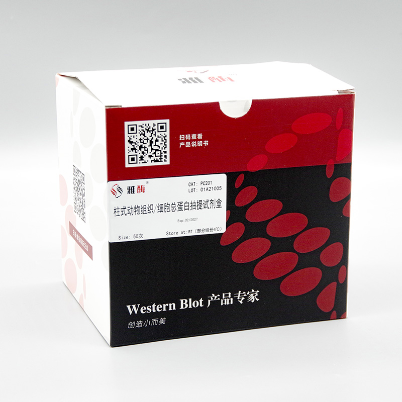 柱式动物组织/细胞总蛋白抽提试剂盒
