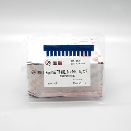 SuperPAGE™ 预制胶，Bis-Tris，8%，12孔(含MOPS电泳液)(即将下架)