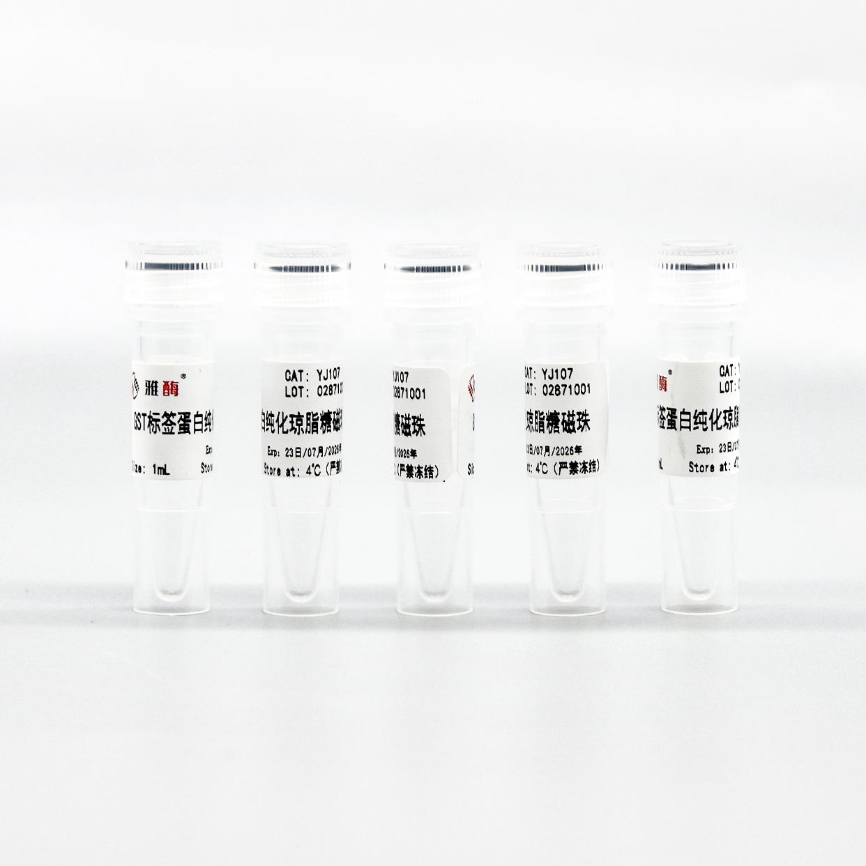 GST标签蛋白纯化琼脂糖磁珠