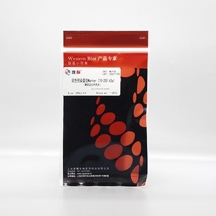 双色预染蛋白Marker 10kDa~250kDa(适用于近红外荧光成像系统)