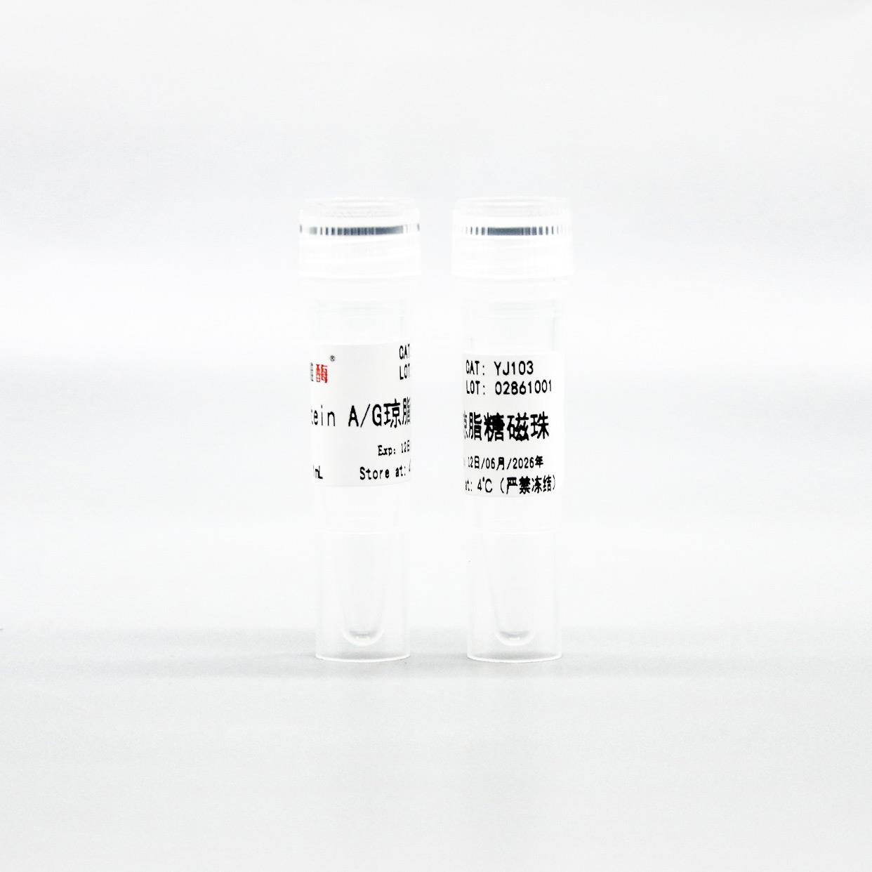 Protein A/G琼脂糖磁珠