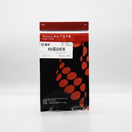 蛋白标准(5mg/ml BSA)