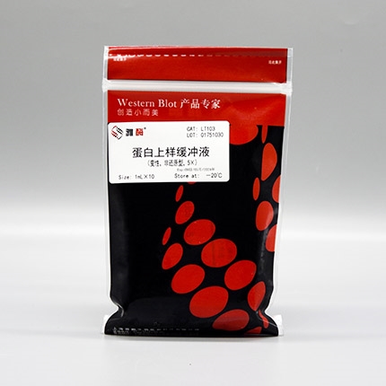 蛋白上样缓冲液(变性，非还原型，5×)