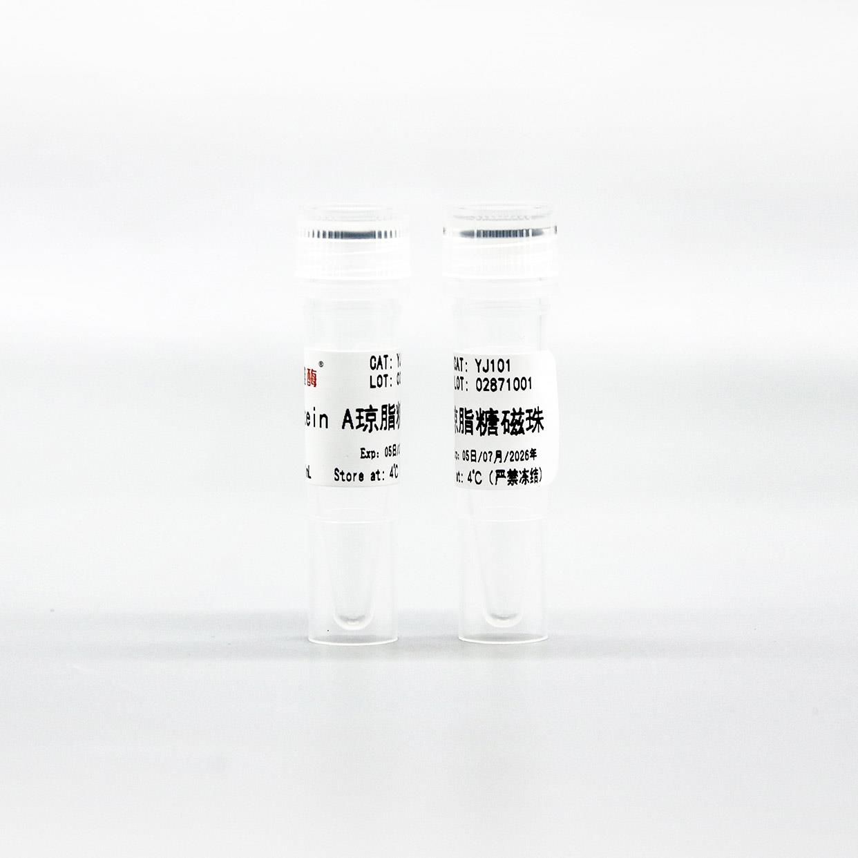 Protein A琼脂糖磁珠