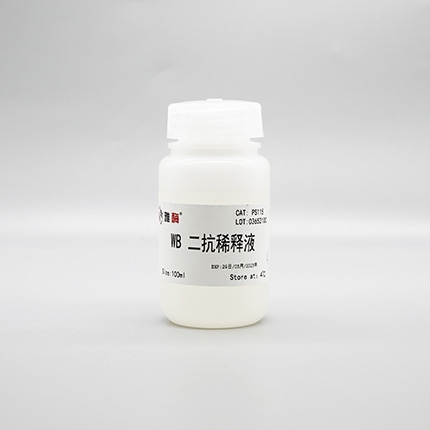 WB 二抗稀释液