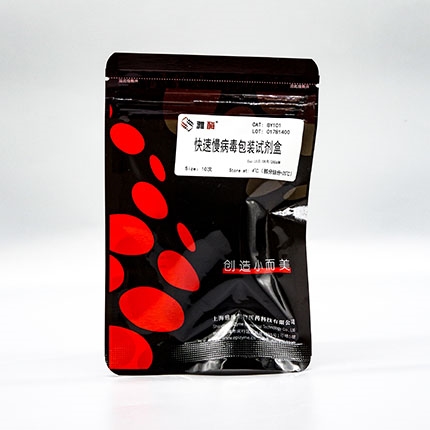 快速慢病毒包装试剂盒