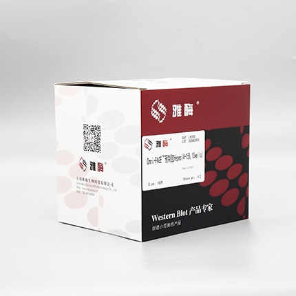 Omni-PAGE™ 预制胶 Hepes 4~15%,10 wells