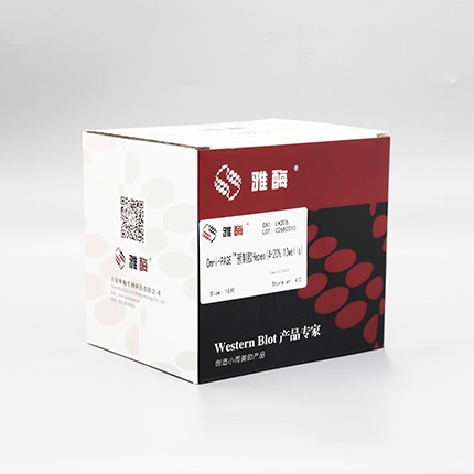 Omni-PAGE™ 预制胶 Hepes 4~20%,10 wells