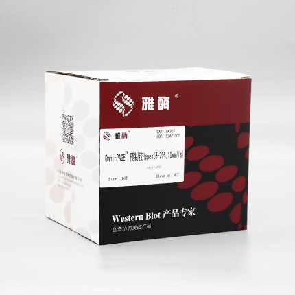 Omni-PAGE™ 预制胶 Hepes 8~20%,10 wells