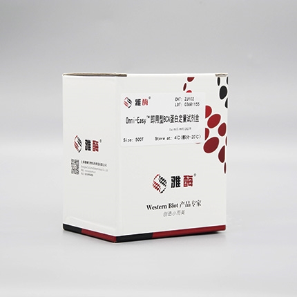 Omni-Easy™即用型BCA蛋白定量试剂盒