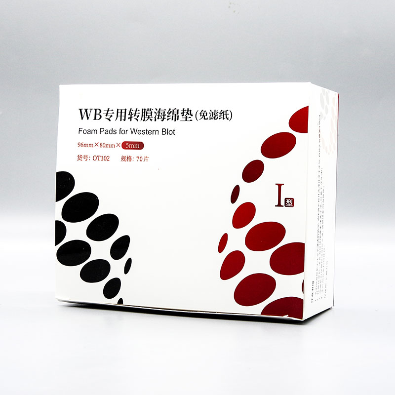 WB专用转膜海绵垫(免滤纸)I型 推荐用于2块胶转印仪