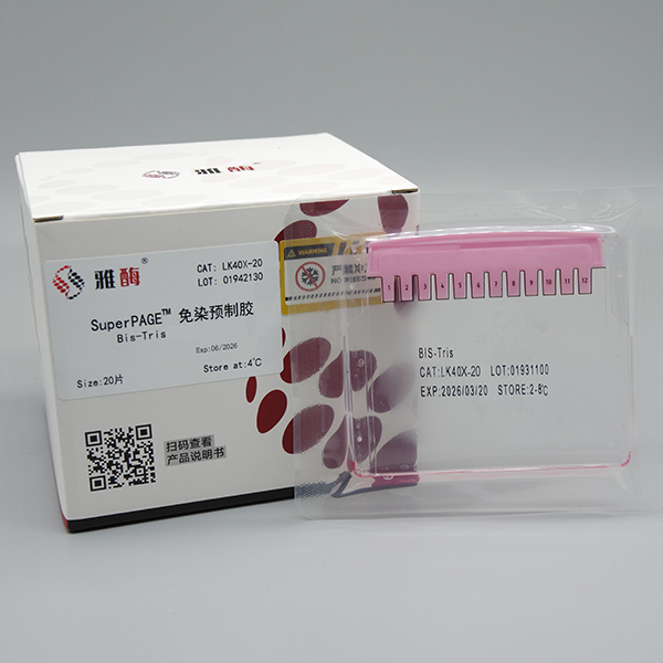Super-PAGE™ 免染预制胶，Bis-Tris，4~20%，12孔(不含MOPS电泳液)