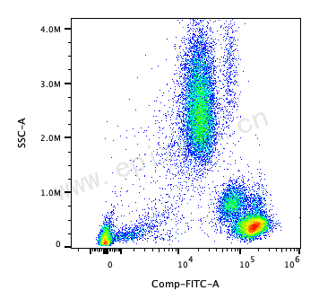 FITC Mouse Anti-Human CD45 [83J75S36]