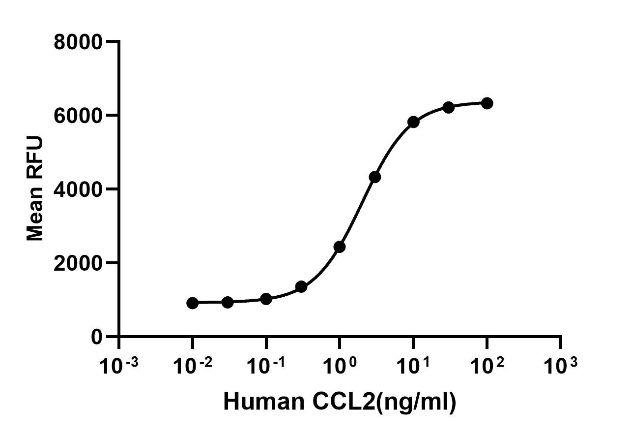 Recombinant Human CCL2