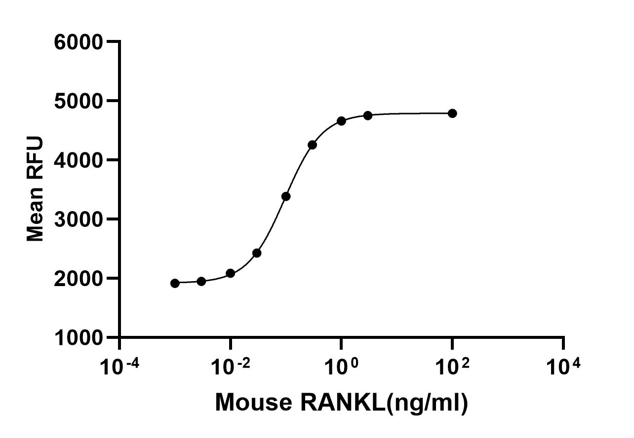 Recombinant Mouse sRANKL