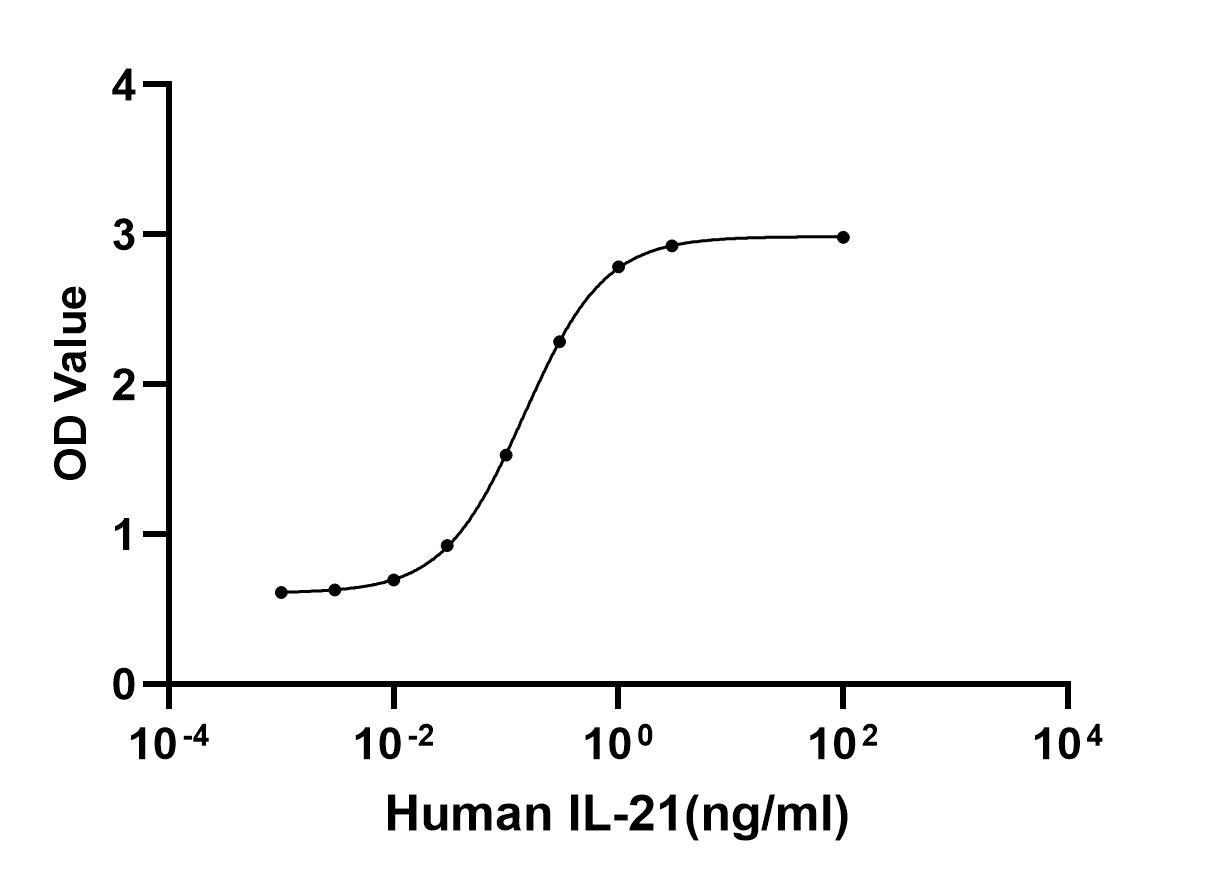 Recombinant Human IL-21