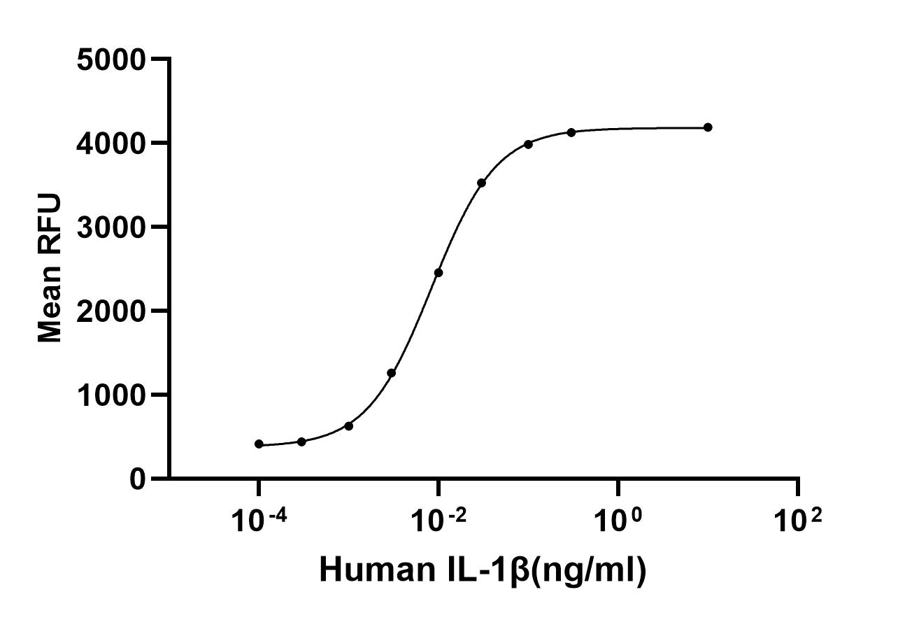 Recombinant Human IL-1 beta