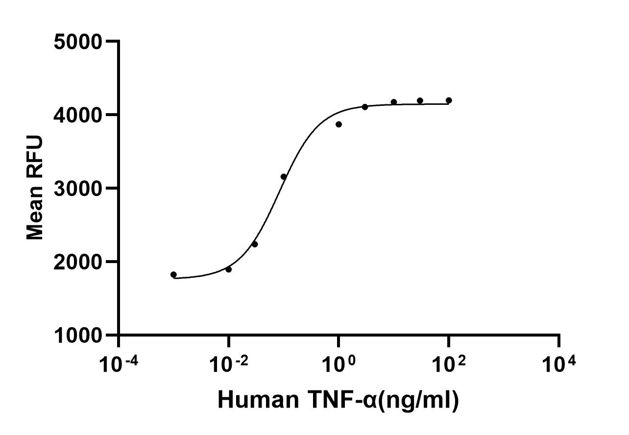Recombinant Human TNF alpha