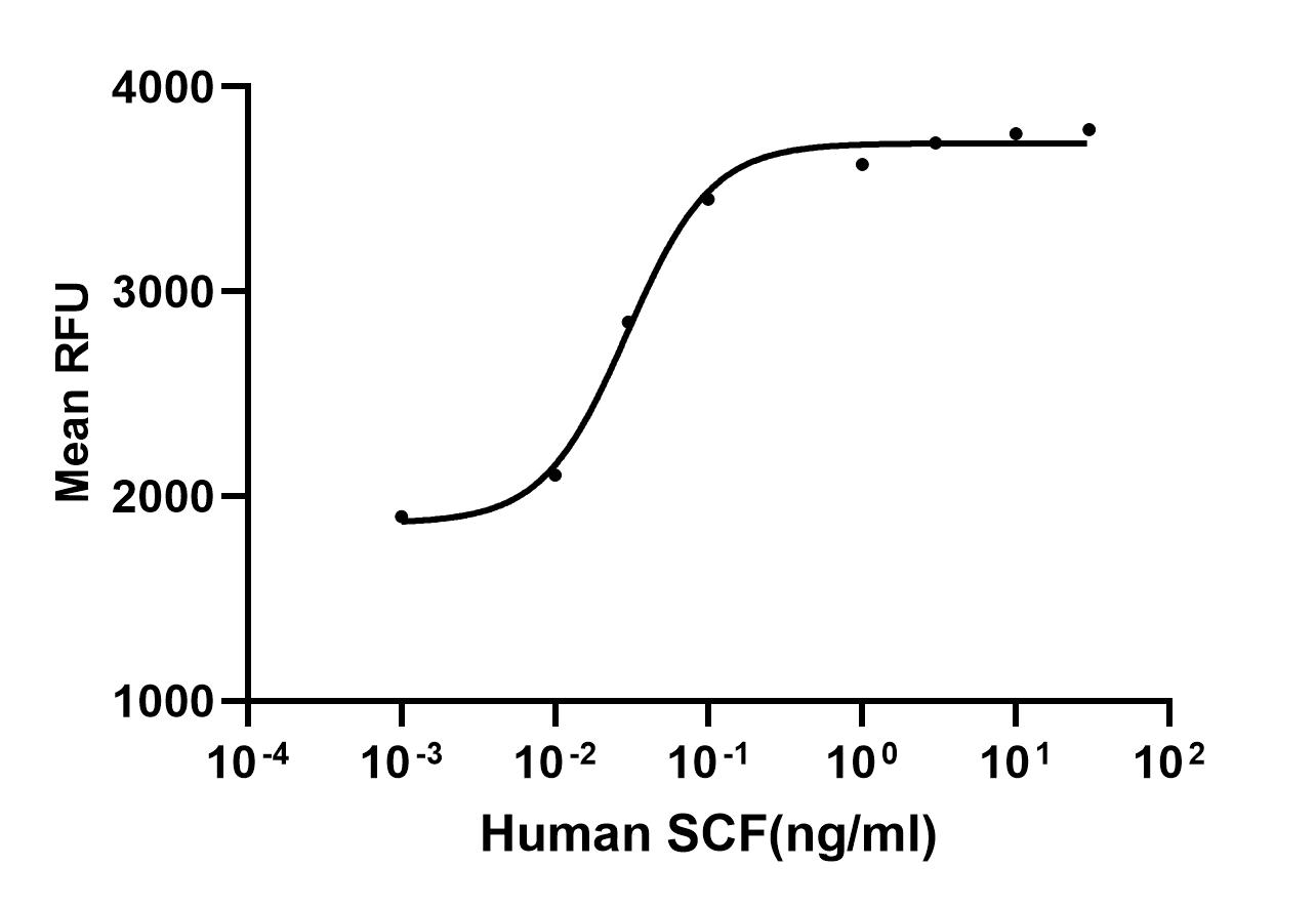 Recombinant Human SCF
