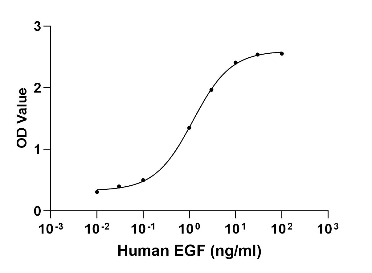 Recombinant Human EGF, 53 a.a.