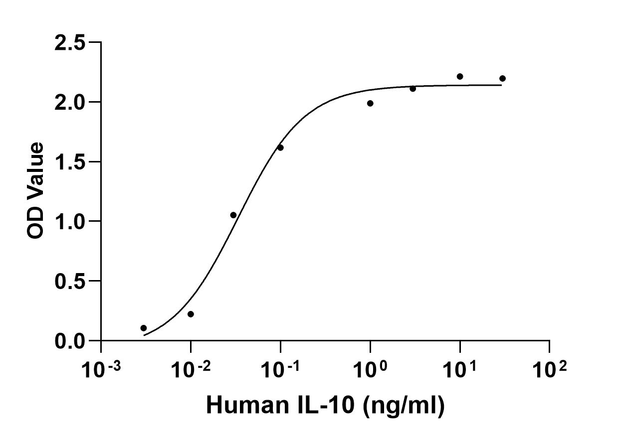 Recombinant Human IL-10