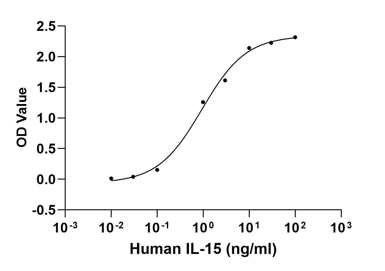 Recombinant Human IL-15