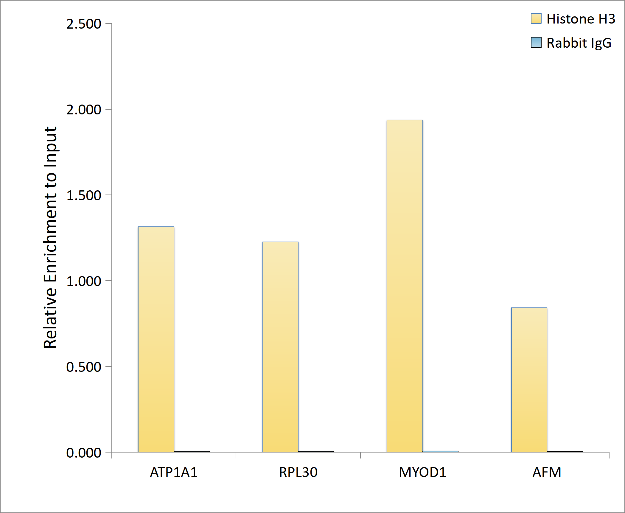 Anti-Histone H3 Rabbit pAb