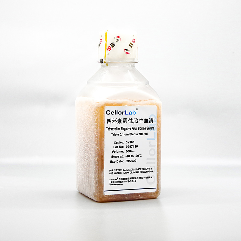 四环素阴性胎牛血清