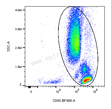 BF488 Mouse Anti-Human CD45 [83J75S36]