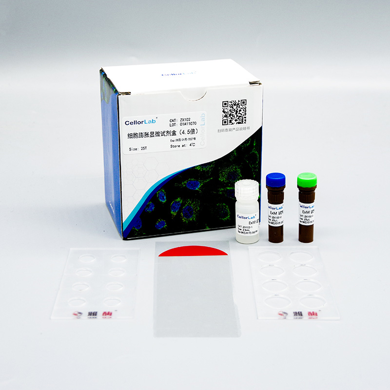 细胞膨胀显微试剂盒(4.5倍)