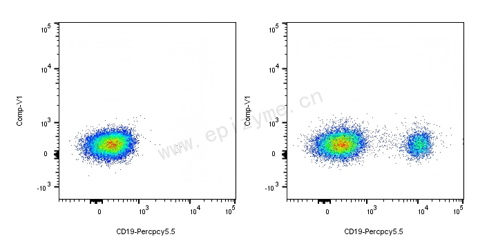 PerCP-Cy5.5 Mouse Anti-Human CD19 [66E25M53]