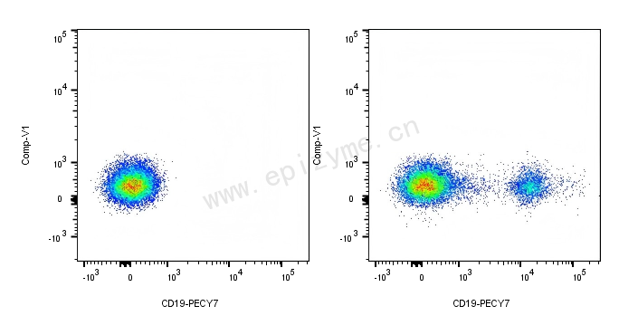 PE-Cy7 Mouse Anti-Human CD19 [66E25M53]