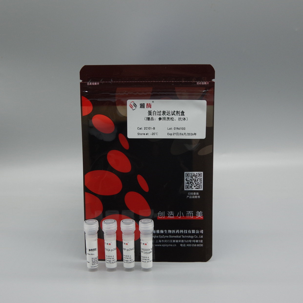 蛋白过表达试剂盒