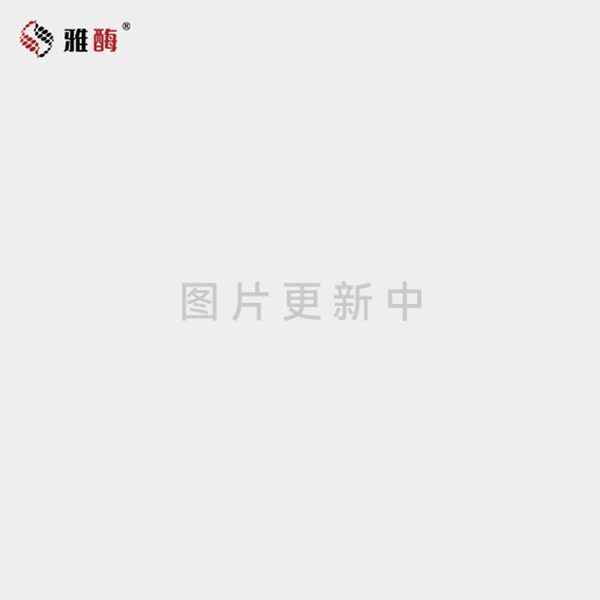 快速转印仪专用海绵垫