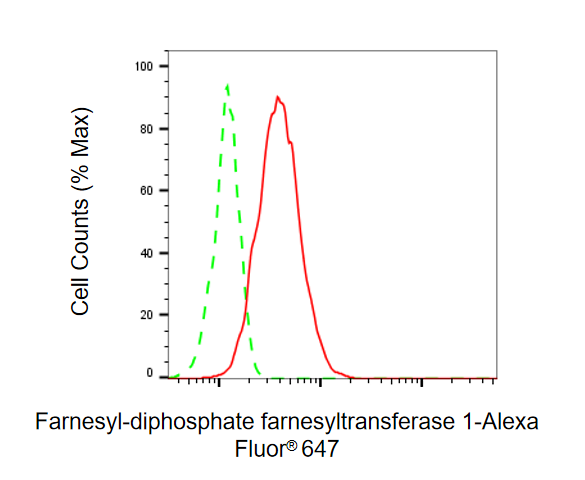 [KD Validated] Anti-FDFT1 Mouse mAb [49J77H29]