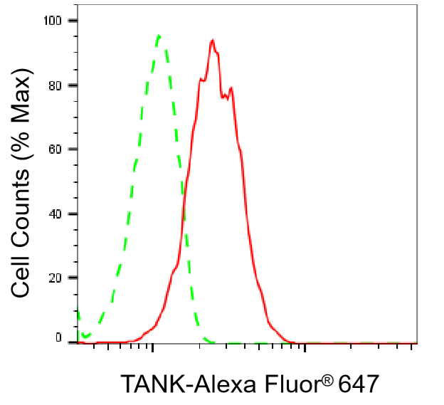 [KD Validated] Anti-TANK Mouse mAb [21E68E80]