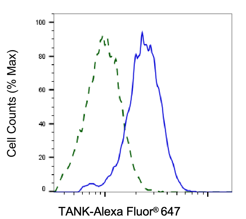 [KD Validated] Anti-TANK Mouse mAb [21E68E80]
