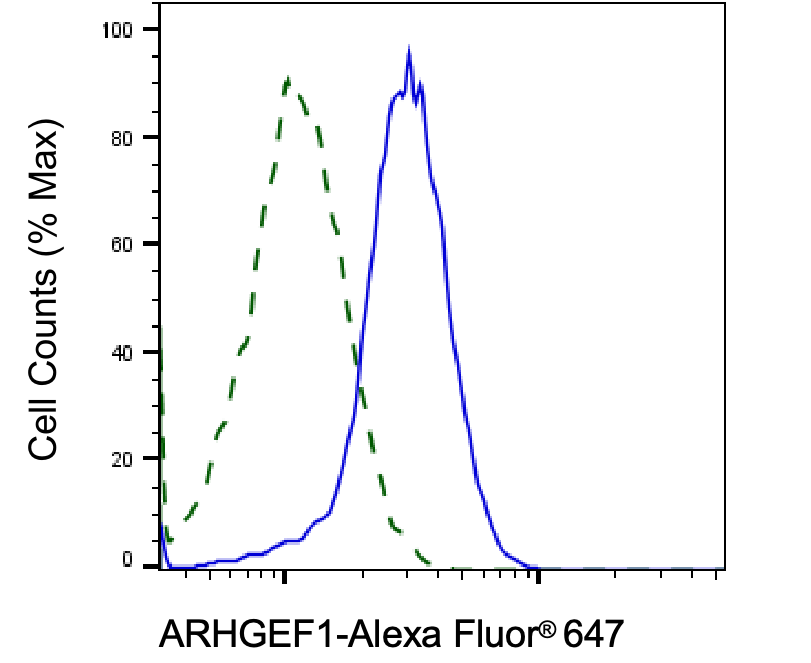 [KD Validated] Anti-ARHGEF1 Mouse oAb