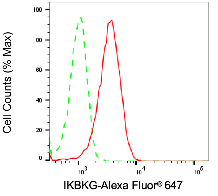 [KD Validated] Anti-IKBKG Mouse mAb [97G86A20]