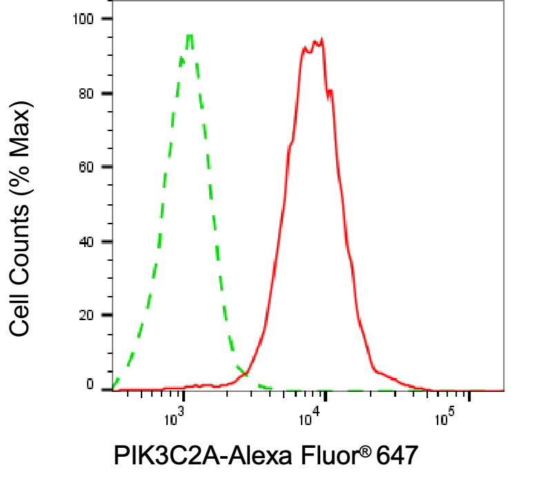 [KD Validated] Anti-PIK3C2A Mouse mAb [63K55S52]