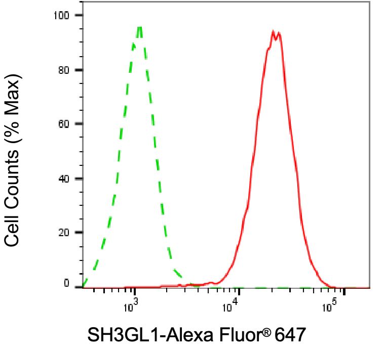 [KD Validated] Anti-SH3GL1 Mouse mAb [99M76M88]